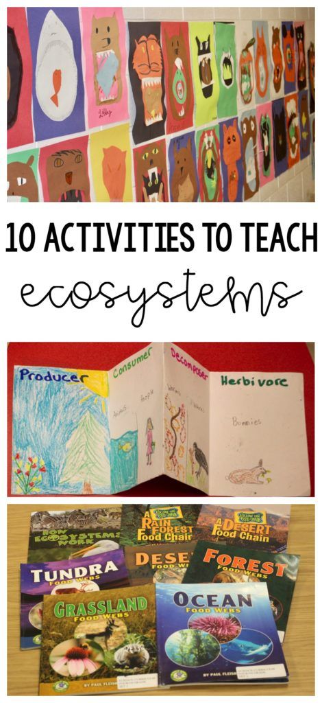 Here are 10 engaging ways to teach ecosystems! My third and fourth graders loved these activities! Third Grade Science, Fourth Grade Science, 6th Grade Science, Teaching Ecosystems, Ecosystem Activities, Ecosystems Projects, Inquiry Learning, Eco System, 4th Grade Science