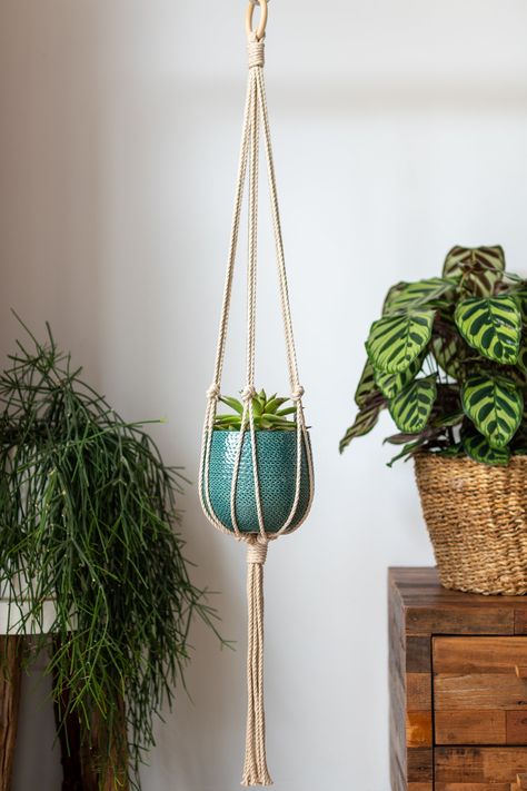 "Minimalist macrame plant hanger, intricately hand-knotted. The plant hanger is available in 10 different colors. To give you a conscience mind when purchasing our products. We have a home/studio that allows us to reduce our environmental footprint and live more simply, while at the same time being a space where we love to spend our time. We only use Oeko-Tex STANDARD 100 certified cotton rope. All packing materials carry the FSC-certification and our studio is fitted with 6 solar panels and a h Minimalist Macrame, Simple Macrame, Support Plante, Bohemian Garden, Porte Decorate, Pot Hanger, Macrame Plant Hangers, Modern Macrame, Plant Holder