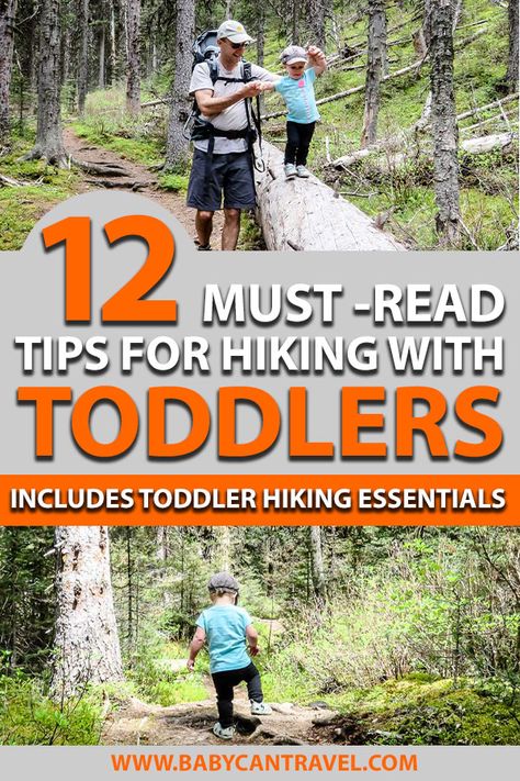 Hiking With Kids, Hiking Checklist, Baby Hiking, Best Hiking Gear, Rv Camping Tips, Family Hiking, Hiking Essentials, Hiking Pictures, Hiking Destinations