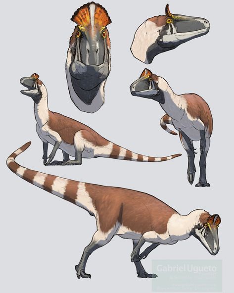 Gabriel N. U. on Twitter: "Happy Winter Solstice! Here is a quick study of Cryolophosaurus, a crested theropod from the early Jurassic of Antarctica, which although MUCH warmer than today it was still quite a cool place back then https://t.co/W6iteUNWYR" / Twitter Croquis, Cryolophosaurus Art, Paleoart Dinosaurs, Prehistoric Animals Dinosaurs, Dinosaur Sketch, Happy Winter Solstice, Prehistoric Wildlife, Dinosaur Drawing, Dinosaur Illustration