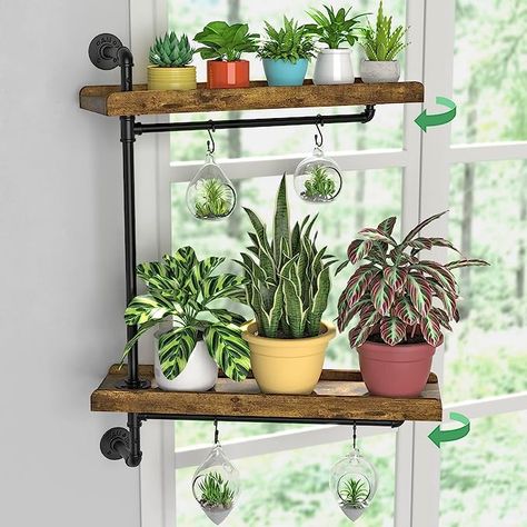 Plant Shelves Outdoor Small Spaces, Moving Plant Shelves, Industrial Plant Shelf, Shelving With Plants, Window Plants Shelf, Moving Window Plant Shelf, Homemade Wall Shelves, Movable Plant Shelf, Moveable Plant Shelf