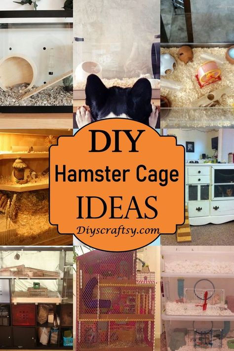 17 DIY Hamster Cage Ideas You Can Make At Home Cheap Hamster Cage Ideas, Hamster Diy Ideas, Hamster Cage Ideas Tanks, Hampster Cage, Big Hamster Cages, Diy Hamster Cage, Syrian Hamster Cages, Diy Hamster House, Hamster Cage Ideas