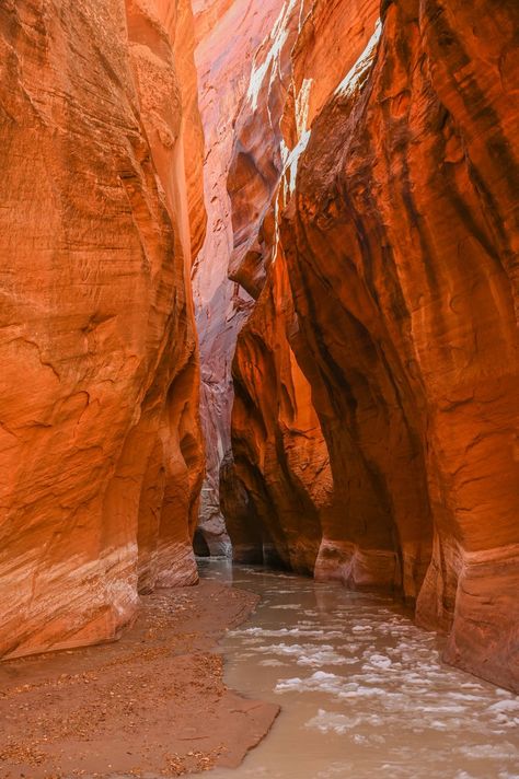 12 Stunning Hikes Near Kanab, Utah Dino Tracks, Kanab Utah, Slot Canyons, Desert Landscapes, Utah Road Trip, Logan Utah, Utah Hikes, National Park Vacation, Slot Canyon