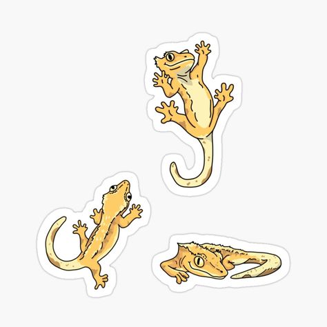 Crested Gecko Drawing Easy, Crested Gecko Illustration, Crested Gecko Tattoo, Crested Gecko Drawing, Gecko Pet, Crested Gecko Habitat, Gecko Sticker, Gecko Tattoo, Reptile Art