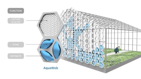 Water Collecting System, Rain Collecting System, Water Catcher Rain, Biomimicry Product Design, Water Collection Architecture, Nature Inspired Architecture, Rain Storage, Water Collection System, Water Harvesting