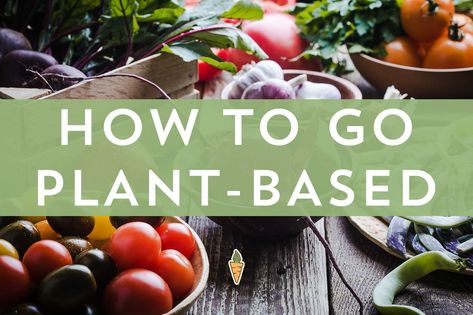 How to Go Plant-Based | No Meat Athlete Vegan Starter, No Meat Athlete, Plant Based Recipe, Vegan Starters, Vegan Recipes Plant Based, Quick Vegan Meals, No Meat, Recipe Cookbook, 15 Minute Meals