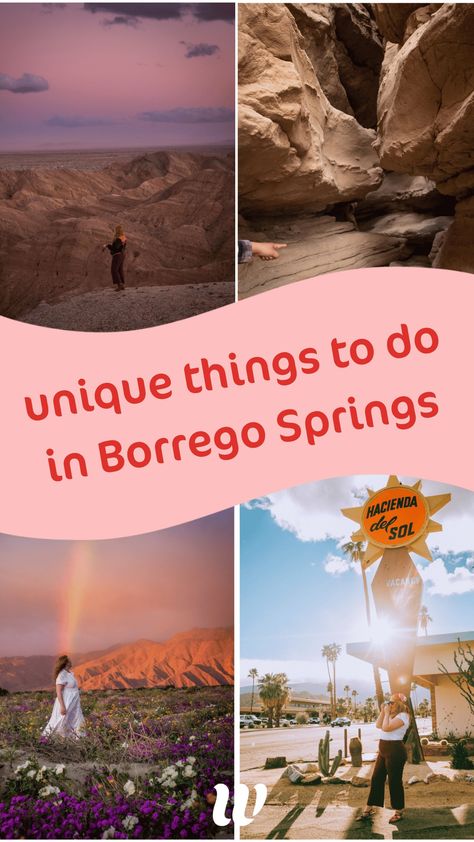 Uncover the secrets of Anza-Borrego Desert State Park! My guide reveals 13 hidden things to do in Borrego Springs, from stunning hikes to unique eats and surprising adventures. Anza Borrego State Park, Borrego Springs, Anza Borrego, California Wildflowers, Super Bloom, Beautiful California, Wine Tasting Experience, Living In San Francisco, California City