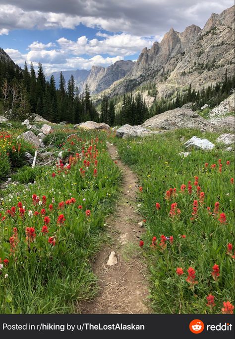 Continental Divide Trail Nature, Feral Woman, Trail Aesthetic, Wind River Range Wyoming, Wyoming Hiking, Continental Divide Trail, Outdoorsy Aesthetic, Trail Photography, Wyoming Mountains