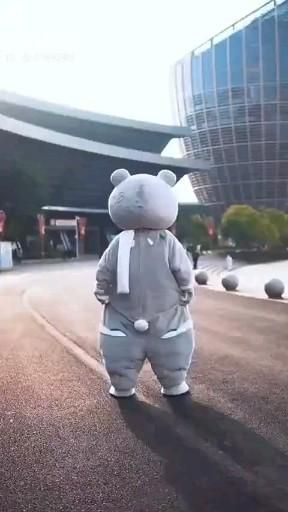 So cute and nice dance Nature, Pandas, Fun Dance Videos, Bear Dancing Video, Dancing Cartoon Aesthetic, Teddy Dance, Teddy Bear Dance, Boy Dance Video, Baby Dance Video