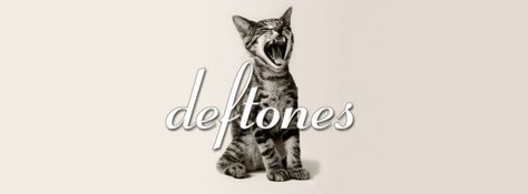 deftones cat Deftones Banner, Deftones Cat, Discord Header, Beautiful Facebook Cover Photos, Header Tumblr, Best Facebook Cover Photos, Banner Discord, Twitter Header Pictures, Twitter Header Aesthetic