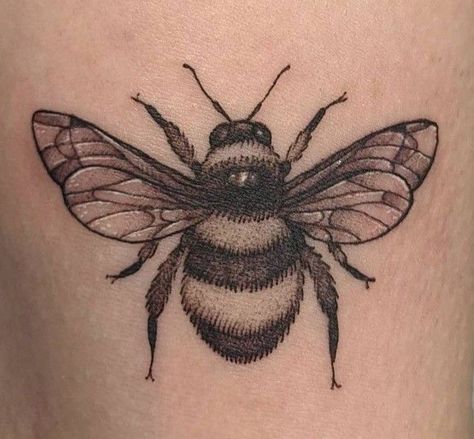 Sternum Piece, Fly Tattoo, Fly Insect, Sailor Tattoos, Flying Tattoo, Tattoo Concepts, Universe Tattoo, Insect Tattoo, Tattoo Black