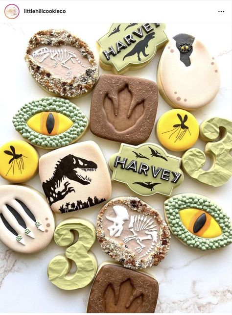 Jurassic Park Cookies, Dinosaur Sugar Cookies, Dinosaur Birthday Theme, Boys Bedroom Makeover, Sugar Cookie Royal Icing, Cookies Decorated, Dinosaur Theme, Dessert Decoration, Fun Baking Recipes