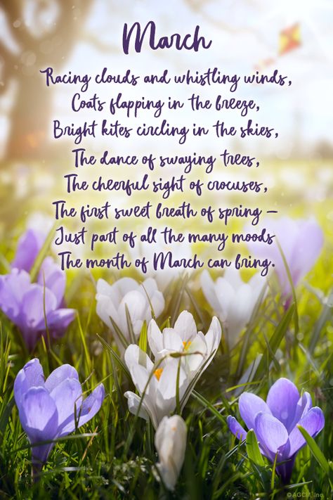 "March Poem" | March eCard | Blue Mountain eCards March Poems Beautiful, March Quotes Month Of, Hello March Wallpaper, March Poem, Hello March Quotes, Spring Poems, Spring Poem, January Quotes, March Quotes