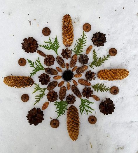 This past week I braved the elements and spent a little time playing around with pinecones in the snow... This mandala is on a much smaller scale than the others I've made.  My back was still a bit sore from shoveling, so I stood at my potting bench rather than stooping and bending (not to… Beautiful Acrylic Painting, Acrylic Painting Ideas For Beginners, Easy Acrylic Painting Ideas, Mini Canvas Painting, Nature Mandala, Nature Collage, Easy Acrylic Painting, Acrylic Painting Ideas, Nature School