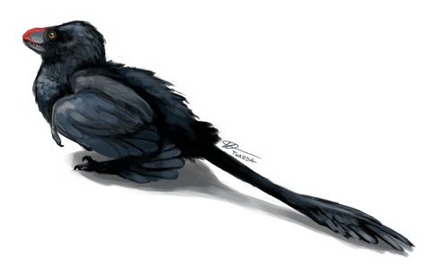 Microraptor by Twarda8 Nature, Feathered Dinosaurs, Dinosaur Drawing, Dinosaur Pictures, Tumblr Post, Prehistoric World, Jurassic World Dinosaurs, Paleo Art, I Choose You