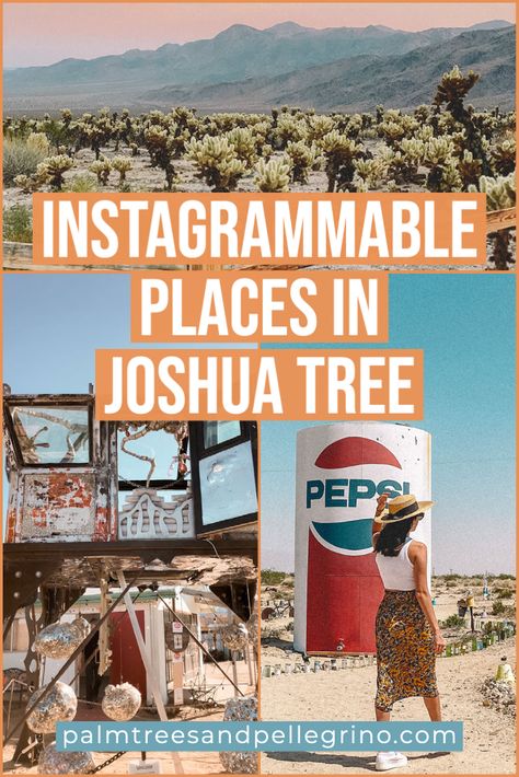 10 Most Instagrammable Places in Joshua Tree, California. Things to do in Joshua Tree. Joshua Tree National Park. Most Instagrammable Spots in Joshua Tree. Pioneertown. Glass Outhouse Gallery. #joshuatree #cabazondinosaurs #california Palm Springs And Joshua Tree, Joshua Tree Art Installation, Joshua Tree National Park Map, Things To Do In Joshua Tree California, Joshua Tree At Night, Autocamp Joshua Tree, Places To See In California, Joshua Tree Things To Do, Things To Do In Joshua Tree