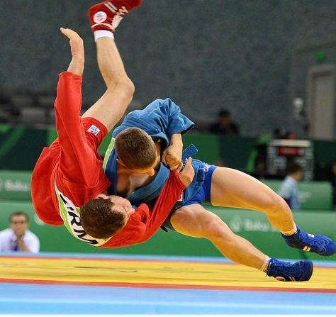 Hapkido, Capoeira, Muay Boran, Catch Wrestling, National Games, Pencak Silat, American Games, Lifestyle Photos, Sports Organization