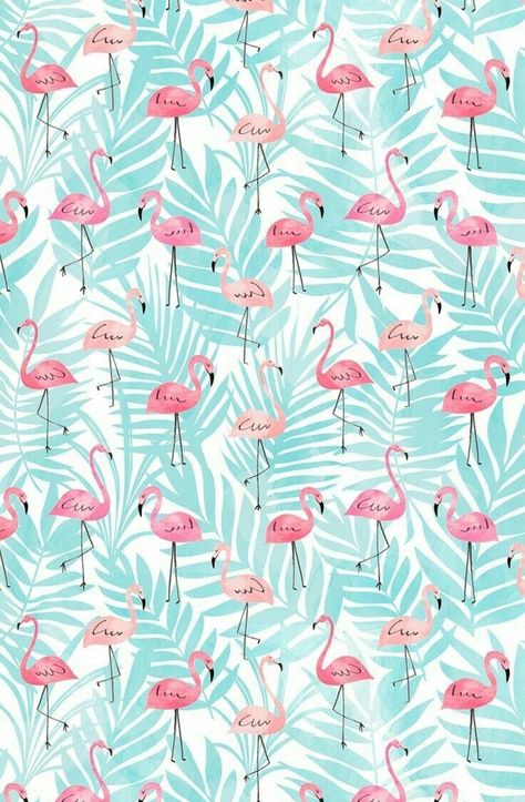 Flamingo clip art