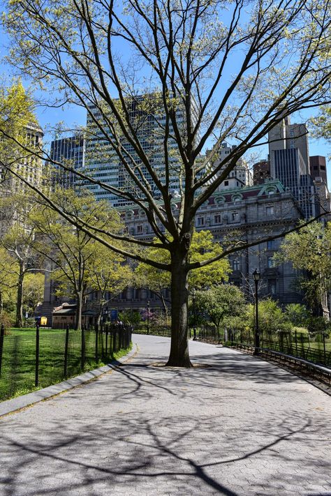 Nyc Park Aesthetic, Battery Park Nyc, City Park Aesthetic, Kristen Callihan, Spring In The City, Summer In Nyc, Battery Park City, Nyc Spring, Spring Showers