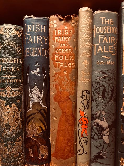 Vintage Book Covers, Irish Fairy, Grimm Tales, Seni Vintage, Library Aesthetic, Old Irish, Fotografi Vintage, Dark Academia Aesthetic, 판타지 아트