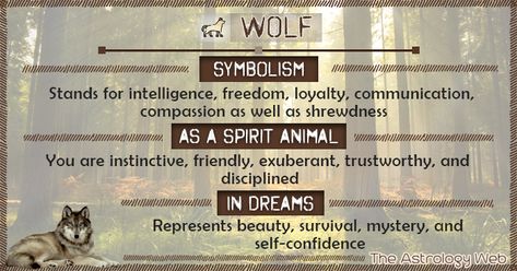 Wolf spirit animal meaning (white, black, lone wolf), what does it mean to dream of a wolf, its symbolism in different cultures (Native American, Japanese) Wolf Spiritual Meaning, Black Wolf Spirit Animal Meaning, Wolf Symbolism Meaning, Wolf Spirit Guide, Wolf Meaning Spirit Animal, Wolf Spirit Animal Meaning, Wolf Meaning, Spirit Animal Wolf, Wolf Symbolism