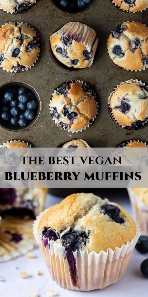 pinterest image Vegan Blueberry Muffin Recipe, Vegan Breakfast Muffins, Dairy Free Muffins, Vegan Blueberry Muffins, Dairy Recipes, Vegan Baking Recipes, Berry Muffins, Vegan Desert, Low Carb Low Fat Recipes