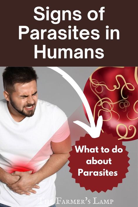 a man holding his abdomen with both hands with a microscopic picture of intestinal parasites to the side with words written that read signs of parasites in humans what to do about parasites the farmers lamp Parasite Symptoms, Parasites In Humans, Be The Reason, The Signs, Health Issues, Health And Wellness, Signs