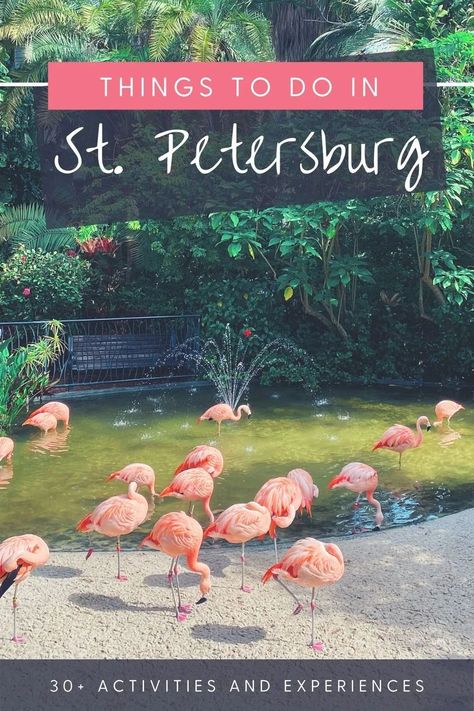 If you are looking for fun things to do in St. Pete Beach, Florida, check out this guide! It is full of ideas for any budget or interest #stpete #florida #thingstodoinflorida #stpeteflorida #stpetebeach #stpetersburg #stpetersburgfl #floridavacation #floridatravel #floridatrip Florida Pictures, Seminole Florida, Vacation 2023, Clearwater Beach Florida, Florida Travel Guide, Travel Florida, Panama City Beach Florida, Captiva Island, Travel Girl