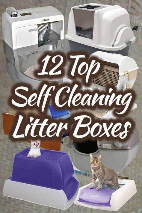 Outside Bathroom Ideas, Litterbox Solutions, Cat Litter Box Diy, Cat Liter, Hiding Cat Litter Box, Diy Litter Box, Hidden Litter Boxes, Best Litter Box, Self Cleaning Litter Box