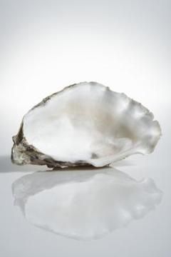 Bleaching removes the smell from oyster shells. Oyster Shells Decor, Crafts Simple, Oyster Shell Crafts, Seashell Projects, Shell Crafts Diy, Sea Crafts, She Sells Seashells, Painted Shells, Shell Ornaments