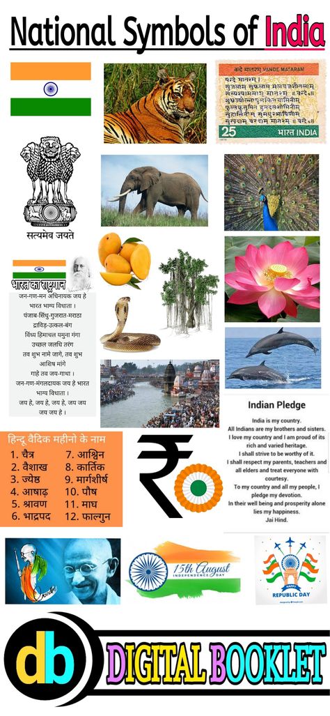 National Symbols of India - Bharat ke Pratik Chinha - Digital Booklet India National Symbol, National Symbols Of India Chart, National Symbols Of India For Kids, Indian National Symbols, National Symbol Of India, National Symbols Of India, India For Kids, India Information, Indian Symbols