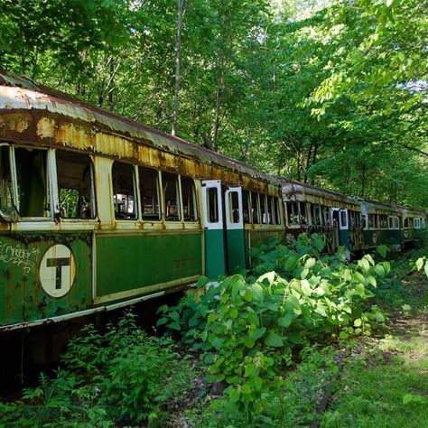 Elf Princess, Dystopian Aesthetic, Apocalypse Aesthetic, Bg Design, Abandoned Train, Images Esthétiques, City Aesthetic, Aesthetic Images, Nature Aesthetic