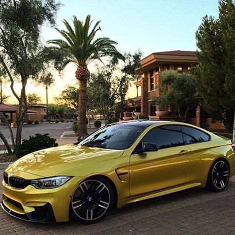 BMW M4 💫 Tag someone who'd love this Via @ceomen - 📷 @song_m4 Bmw M4 Yellow, Bmw Yellow, M4 Bmw, Bmw M4 F82, M4 F82, F82 M4, Carros Bmw, M Power, Bmw Sport