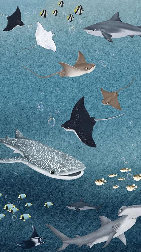 Whale Shark Phone Wallpaper, Marine Life Desktop Wallpaper, Sea Collage Wallpaper, Manatee Wallpaper Iphone, Cute Shark Wallpaper Iphone Wallpapers, Whale Shark Wallpaper Iphone, Shark Laptop Wallpaper, Cute Shark Wallpaper, Ocean Life Aesthetic