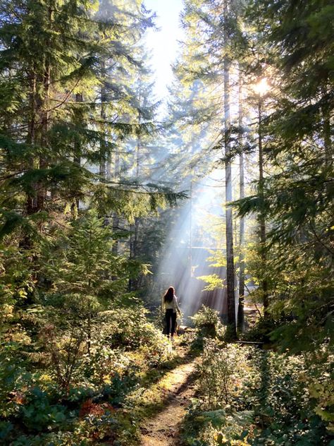 Shot by Cory S. in Lake Cushman, WA. The presence of human subjects in a natural setting like this forest creates a more relatable sense of scale and emphasizes the height of other elements in the photo. The Great Outdoors, Rauch Fotografie, Norman Bates, 남자 몸, 판타지 아트, Foto Inspiration, Nature Girl, Nature Aesthetic, Photography Inspo
