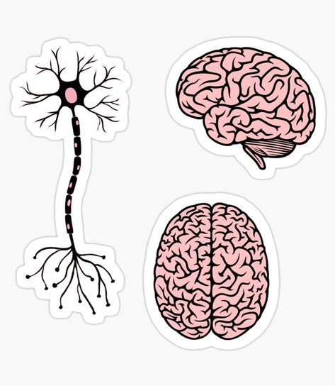 drawing of a neuron and two brains Brain Sticker, Watermark Ideas, Animated Movie Posters, Medical Stickers, Doctor Stickers, Science Stickers, Cloud Stickers, Cognitive Science, Art Tools Drawing