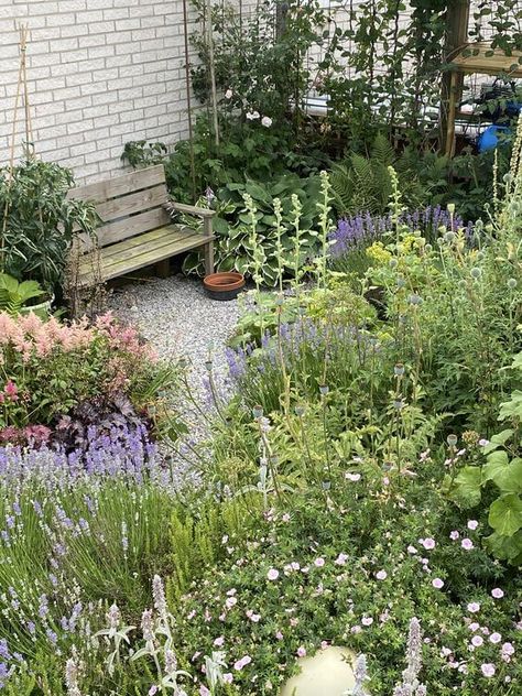 25 Stunning Wildlife Garden Ideas - 202 Meadow Garden, Small Wildlife Garden, Wildlife Garden Ideas, Habitat Garden, Hedgehog House, Wildlife Garden, English Cottage Garden, Wildlife Gardening, Big Garden