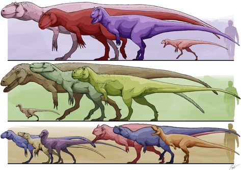 Dinosaur Drawing, Dinosaur Skeleton, Ancient Animals, Paleo Art, Jurassic Park World, Dinosaur Art, Prehistoric Creatures, Prehistoric Animals, Tyrannosaurus Rex