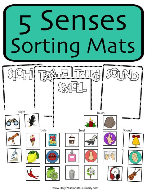 5 Senses Sorting Mats. Help your young students learn all about their five senses with these fun cut and paste sorting mats! Cut And Paste, Sorting Mats, 5 Senses, Student Learning, Bullet Journal