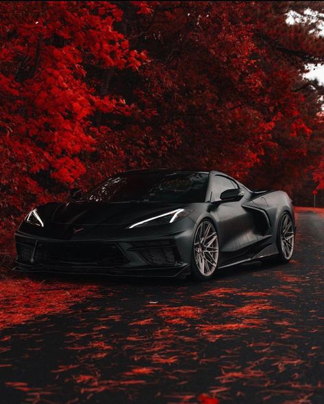 The C8 Corvette Page’s Instagram photo: “🍁 Autumn feels with @gabe.design 🍂 Who’s had to put their fun cars away for the the winter? . Use #thec8page to be featured! . #c8r #chevy…” Cars In Autumn, C8 Corvette, Corvette C8, Dream Cars Bmw, Cars Bmw, Chevy Chevrolet, Cute Car Accessories, Instagram Autumn, Chevy Corvette