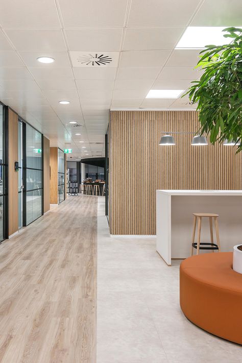 Modern Open Plan Office Design, Oak Office Decor, Wood Floor Office Design, Neutral Commercial Office Design, Scandinavian Commercial Interior, Office Wooden Flooring, Office Vinyl Flooring, Retail Office Design, Tiled Office Floor