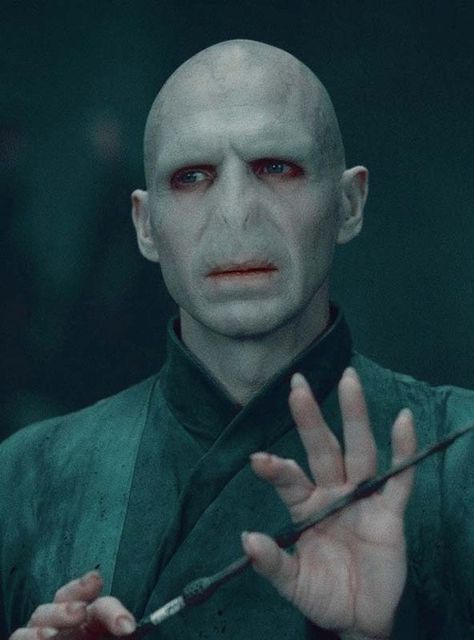 Thomas Marvolo Riddle   "Lord Voldemort" Harry Potter Screaming, Wallpaper Harry Potter, Harry Potter Voldemort, Tapeta Harry Potter, Buku Harry Potter, Ralph Fiennes, Lord Voldemort, Tom Riddle, Harry Potter 2