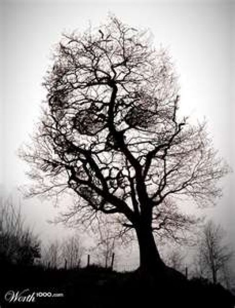 Skull Art, Optical Illusions, Skull Tattoos, Tatoo Tree, Haunted Images, 문신 디자인, Tree Tattoo, Memento Mori, Compass Tattoo