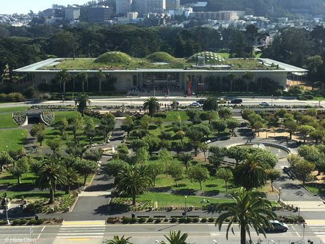 Renzo Piano, Academy Of Science San Francisco, Renzo Piano Architecture, Science Sans, Building References, Museum Garden, California Academy Of Sciences, Visual Library, Green Roofs