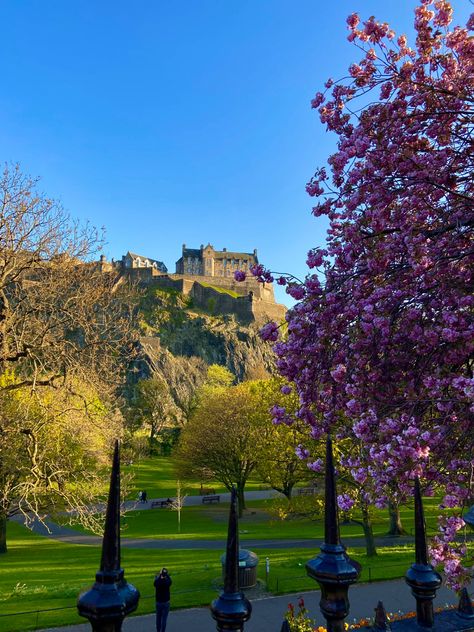 Endinburgh castle in spring with cherry blossoms Parisian Style Decor, Korean Vibe, Scotland Aesthetic, Moving To Scotland, Edinburgh University, Parisian Aesthetic, Scotland Forever, Jungkook Taehyung, Kpop Style