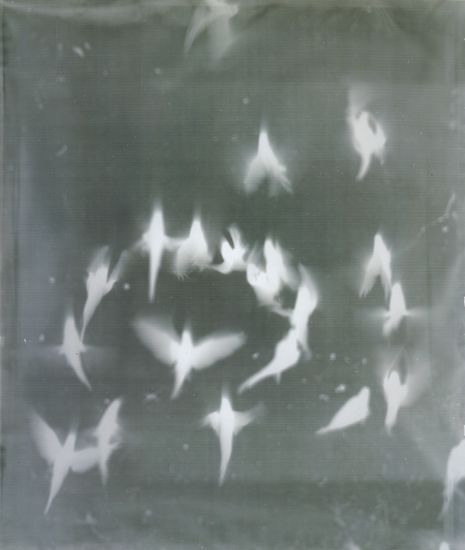 Adam Fuss From the series 'My Ghost' 1999 (Birds in Flight) Dark Fairycore, Fairy Grunge Aesthetic, Arte Indie, Grunge Fairycore, Arte Grunge, Fairy Aesthetic, Dark Fairy, Ethereal Art, Aesthetic Grunge