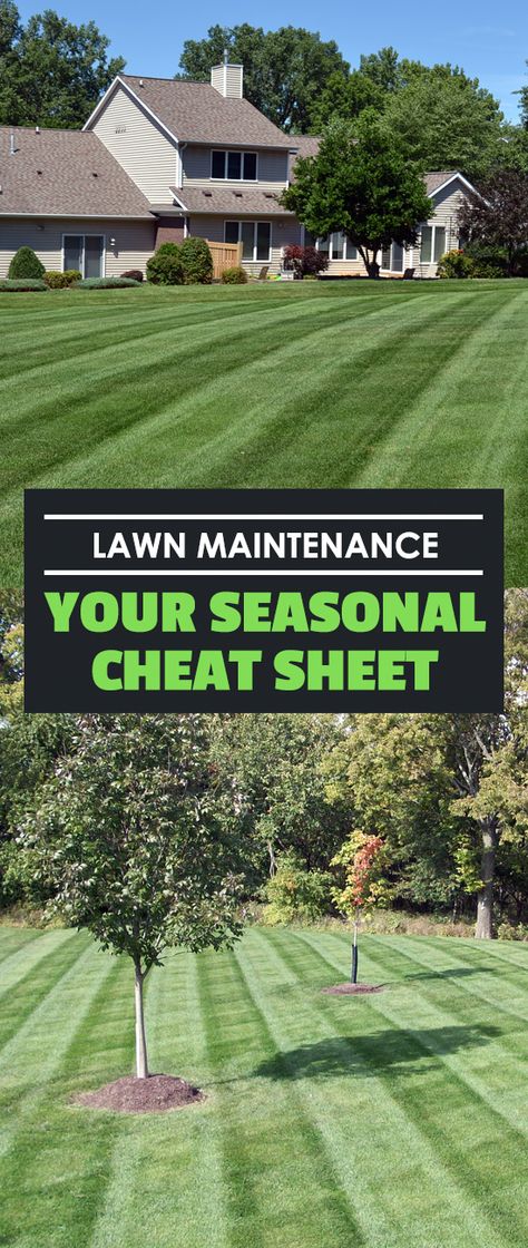 Lawn Care Schedule, Spring Lawn Care, Mulch Landscaping, Lawn Care Business, Aerate Lawn, Yard Maintenance, Lawn Care Tips, Diy Lawn, Lush Lawn