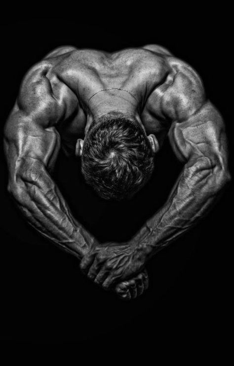 #PictureOfTheDay Veiny Arms, Bodybuilding Photography, Anatomy Studies, Man Anatomy, Building Photography, Fitness Photoshoot, Fitness Photos, Foto Poses, Fitness Photography