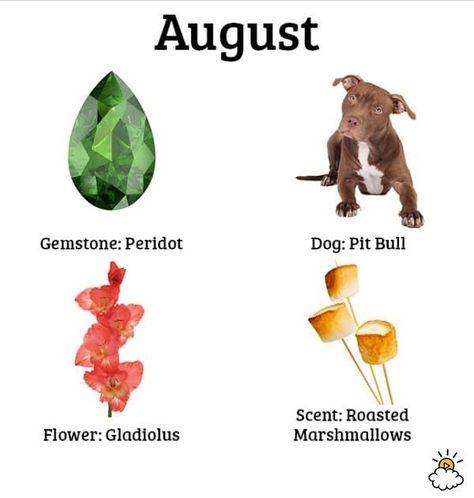 August Birthday Tattoo, August Birthday Quotes, Birth Month Symbols, Birth Month Quotes, Birth Symbols, Birth Animal, Month Animals, Birth Stones Chart, August Baby