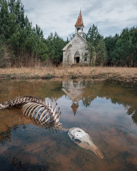 Southern Gothic Aesthetic, Arte Occulta, Vulture Culture, American Gothic, 다크 판타지, Southern Gothic, Gothic Aesthetic, Old Church, Abandoned Buildings